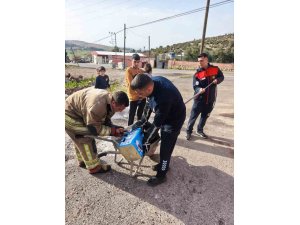 MAHSUR KALAN KÖPEKLERİN YARDIMINA İTFAİYE YETİŞTİ