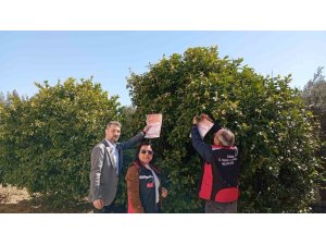 KOZAN’DA ARILARIN KORUNMASINA YÖNELİK ÇALIŞMA BAŞLATILDI