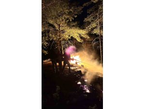 HATAY’DA ORMANLIK ALANDA ÇIKAN YANGIN BÜYÜMEDEN SÖNDÜRÜLDÜ