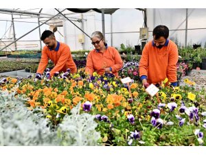 MURATPAŞA’DAN ÖRNEK BİTKİ ÜRETİM MODELİ