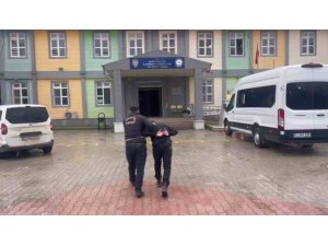 ANTAKYA’DA CANLI HAYVAN ÇALAN ŞÜPHELİ YAKALANDI