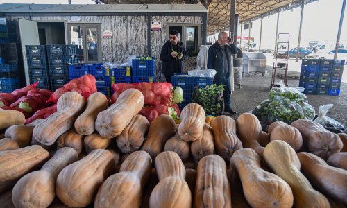 ANTALYA HALİ'NDEN 64 ÜLKEYE İHRACAT