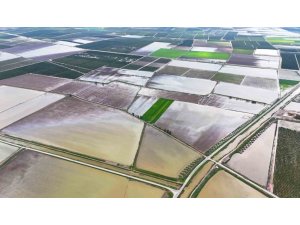 ÇUKUROVA’YI YAĞMUR VURDU: TARIM ARAZİLERİ SULAR ALTINDA