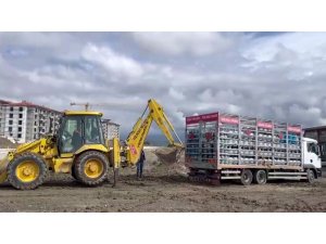 ÇAMURA SAPLANAN TÜP YÜKLÜ KAMYON KEPÇEYLE KURTARILDI