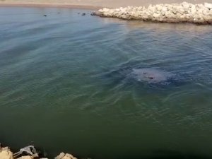 SAHİLKONDU VE BARAKALARIN LAĞIMLARI, NEHİRİ VE DENİZİ KİRLETİYOR