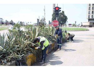 HATAY BÜYÜKŞEHİR BELEDİYESİ BİTKİDE DIŞA BAĞIMLILIĞI EN AZA İNDİRMEYİ HEDEFLİYOR