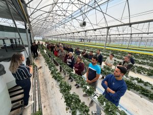 ÖĞRENCİLER TOPRAKSIZ TARIM TESİSİNİ GEZDİ