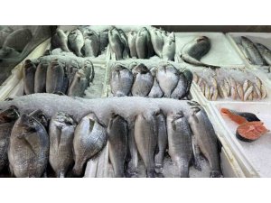 KAHRAMANMARAŞ’TA SU ÜRÜNLERİ AV YASAĞI BAŞLADI