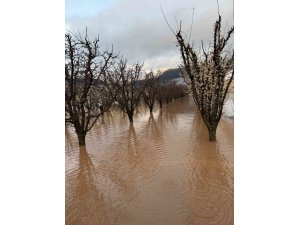 ELMALI’DA DERELER TAŞTI, TARIM ALANLARI SULAR ALTINDA KALDI