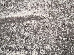 ANTALYA'YI ÇÖL TOZU BULUTU KAPLADI