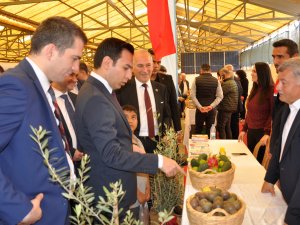 GAZİPAŞA TARIM FUARI AÇILDI