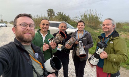 3 GÜNDE 120'NİN ÜZERİNDE KUŞ TÜRÜ GÖZLEMLENDİ