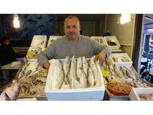 AKDENİZ’DE AV YASAĞI BAŞLIYOR