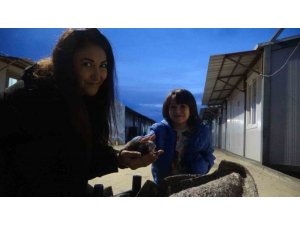 SU KANALINDA DOĞUM YAPAN KEDİ VE 3 YAVRUSUNUN YENİ YUVASI DEPREMZEDE AİLENİN KONTEYNERİ OLDU