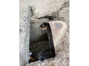 İSKENDERUN’DA RÖGAR BORUSUNA DÜŞEN YAVRU KEDİLER KURTARILDI