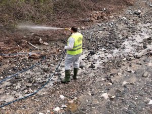 HATAY BÜYÜKŞEHİR BELEDİYESİ HAŞEREYLE MÜCADELE ÇALIŞMALARINA DEVAM EDİYOR