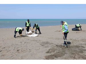HATAY BÜYÜKŞEHİR BELEDİYESİ, SAHİLLERDE TEMİZLİK ÇALIŞMASINI YIL BOYU SÜRDÜRÜYOR