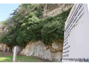 4 BİN YILLIK SARMAŞIĞIN GÖLGESİNDE BAHARI KARŞILADILAR