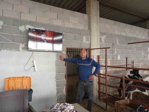 ADANALI ÜRETİCİDEN SÜT VERİMİ İÇİN İLGİNÇ YÖNTEM