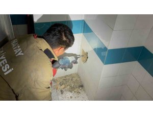 BACADAN DÜŞEREK MAHSUR KALAN YAVRU KEDİ DUVARIN KIRILMASIYLA KURTARILDI