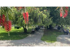 ADANA’DA TERMOMETRELER 41 DERECEYİ GÖSTERDİ