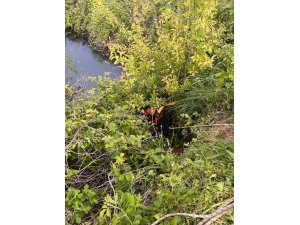 YAYLADAĞI’NDA GÖLETE DÜŞEN BÜYÜKBAŞ HAYVAN KURTARILDI