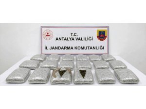ANTALYA’DA JANDARMADAN UYUŞTURUCU OPERASYONU: 30 KİLOGRAM SKUNK MADDESİ ELE GEÇİRİLDİ
