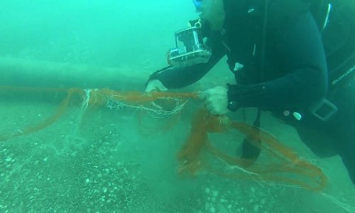 HAYALET AĞLARLA 1,5 MİLYON DENİZ CANLISI KURTARILDI