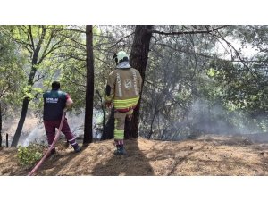 İSKENDERUN’DA ORMAN YANGINI KONTROL ALTINA ALINDI
