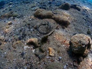 BÜYÜKŞEHİR’DEN YAT LİMANI’NDA DENİZ DİP TEMİZLİĞİ