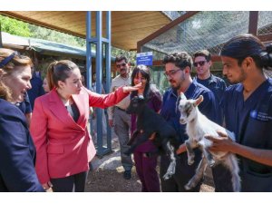 BAŞKAN VEKİLİ BÜŞRA ÖZDEMİR: "VETERİNER HEKİMLERİN ÜSTLENDİKLERİ SORUMLULUK ÇOK KIYMETLİ"