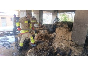 DEFNE’DE SAMANLIK YANGINI