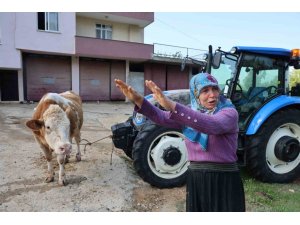 KOZAN’DAKİ SELDE HAYVANLARI TELEF OLAN KADIN: "BİR ANDA SEL GELDİ, AHIRIN ÜSTÜNÜ AŞTI"