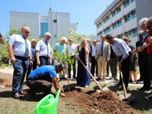 5 BİN FİDAN DİKİLDİ