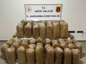 HATAY’DA JANDARMA’DAN GENİŞ ÇAPLI ASAYİŞ OPERASYONU