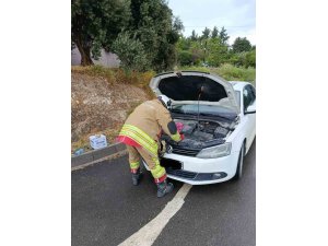 ARSUZ’DA OTOMOBİLİN MOTORUNA GİREN KEDİLER KURTARILDI