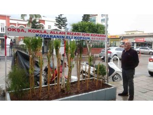 ANNESİNİN ÇOK SEVDİĞİ ÇİÇEĞİ, İŞ YERİNİN ÖNÜNDE MEZARI ANDIRAN ALANDA 40 YILDIR YAŞATIYOR