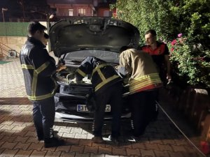 ANTAKYA’DA OTOMOBİLİN MOTORUNA GİREN KEDİYİ İTFAİYE KURTARDI