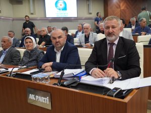 MECLİSTE 'ENGİNYURT' TARTIŞMASI