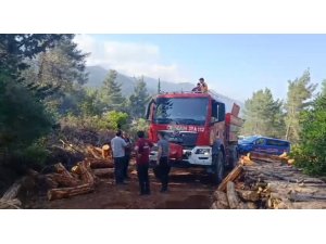 HATAY’DA ORMANI YANGINI ÇIKTI