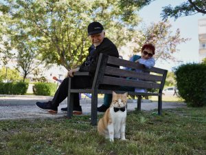 PAPYONLU KEDİ 'FOÇA' EMEKLİ ÇİFTİN HAYATINI DEĞİŞTİRDİ