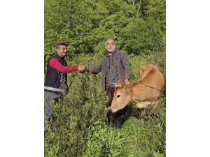 OSMANİYE’DE UÇURUMA DÜŞEN DÜVE 5 SAATLİK OPERASYONLA KURTARILDI