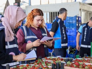 TOPTANCI HALİNDE FAHİŞ FİYAT DENETİMİ