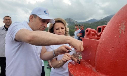 500 METRE UZUNLUĞUNDA HAYALET AĞ ÇIKARILDI