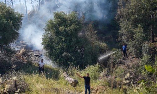 AKSU'DA OTLUK ALANDA ÇIKAN YANGIN ORMANA SIÇRADI