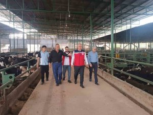 KURBAN BAYRAMI ÖNCESİ HAYVAN SATIŞ YERLERİNDE SIKI DENETİM