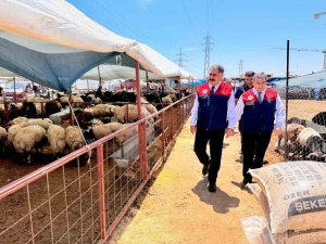 MERSİN’DE KURBAN BAYRAMI ÖNCESİ SATIŞ NOKTALARINDA SIKI DENETİM