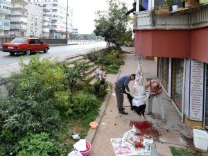 '12 YAŞINDAN KÜÇÜKLERE KURBAN KESİMİNİ GÖSTERMEYİN'