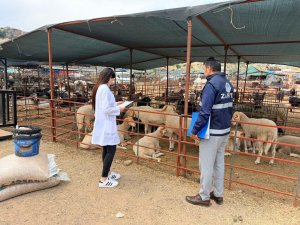 KEPEZ'DE KURBAN SATIŞ VE KESİM YERLERİ DENETİM ALTINDA