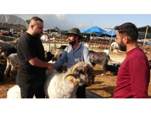 MERSİN’DE KURBANLIKLARDA KIRAN KIRANA PAZARLIKLAR BAŞLADI